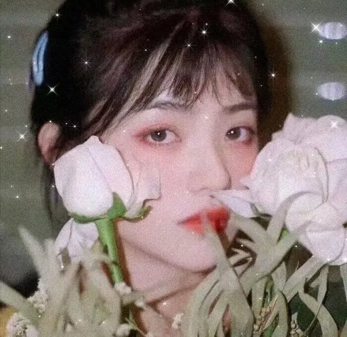 刑事情报科粤语